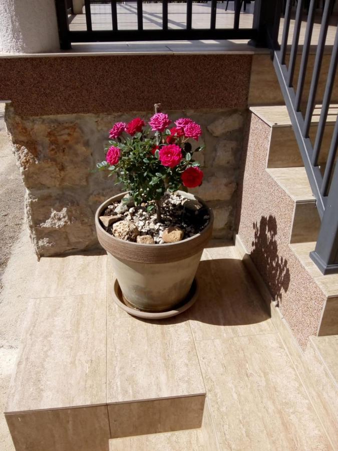 Apartment Plitvice Стариград-Пакленица Екстериор снимка